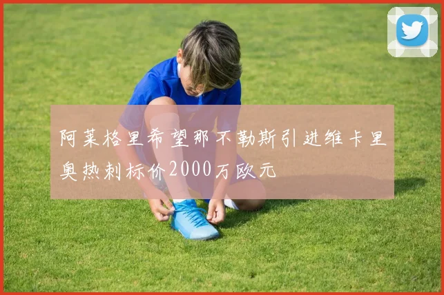 阿莱格里希望那不勒斯引进维卡里奥热刺标价2000万欧元